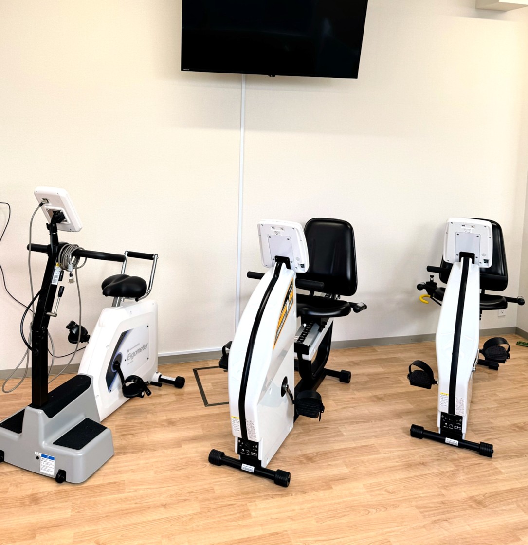 持久性運動（有酸素運動）